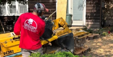 Stump Removal & Grinding